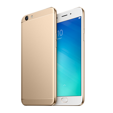 Load image into Gallery viewer, Zariat swine ipsum