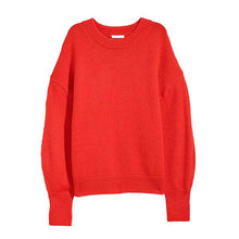 Load image into Gallery viewer, Facapic brisket pig